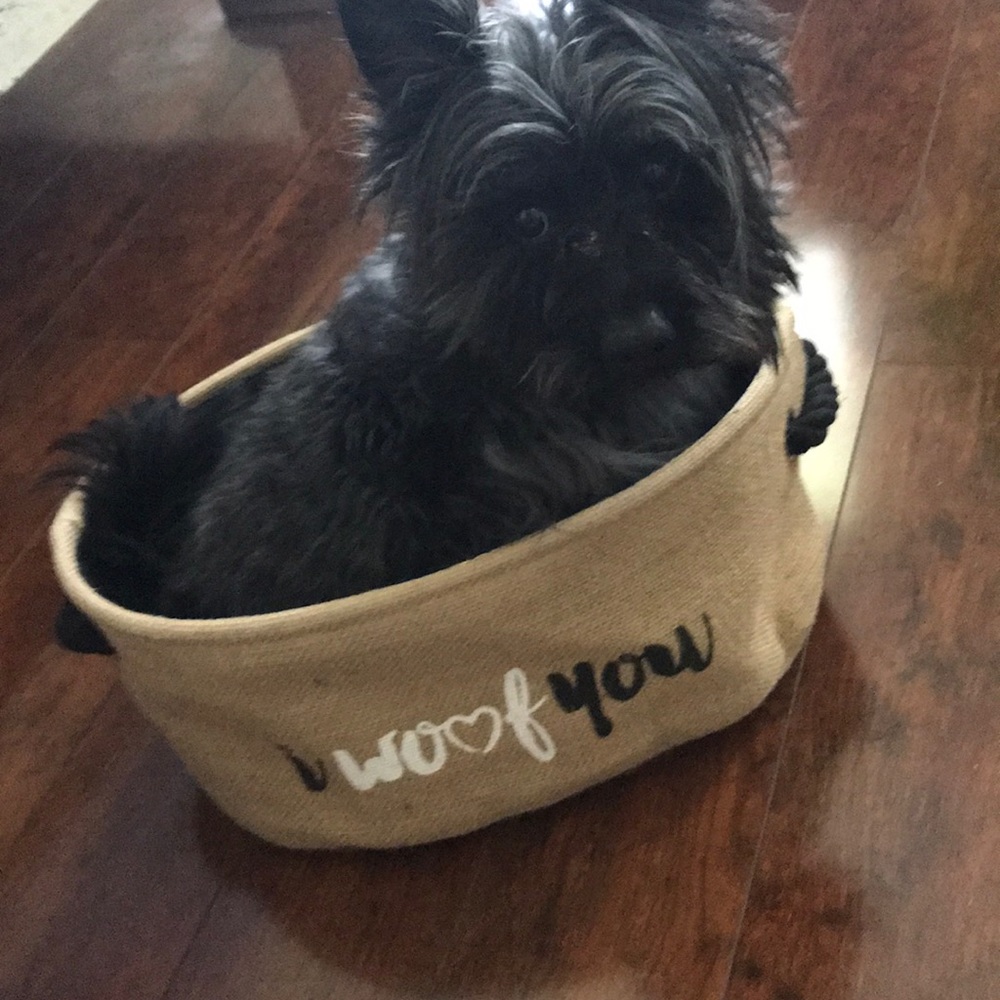Dog Toy Holder